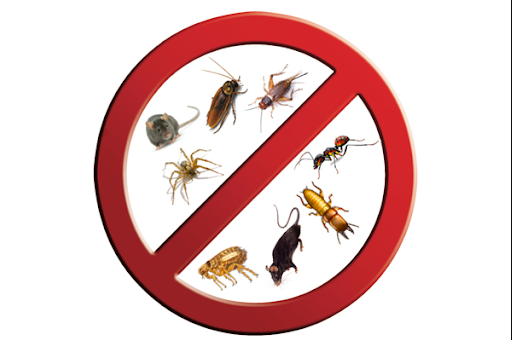 Best Ways To Make Pest Control For RVs