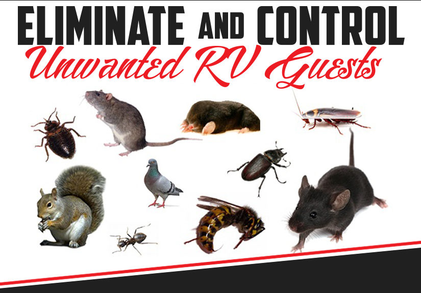 Best Ways To Make Pest Control For RVs